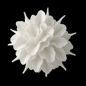imaginary dendritic-like flower © oore